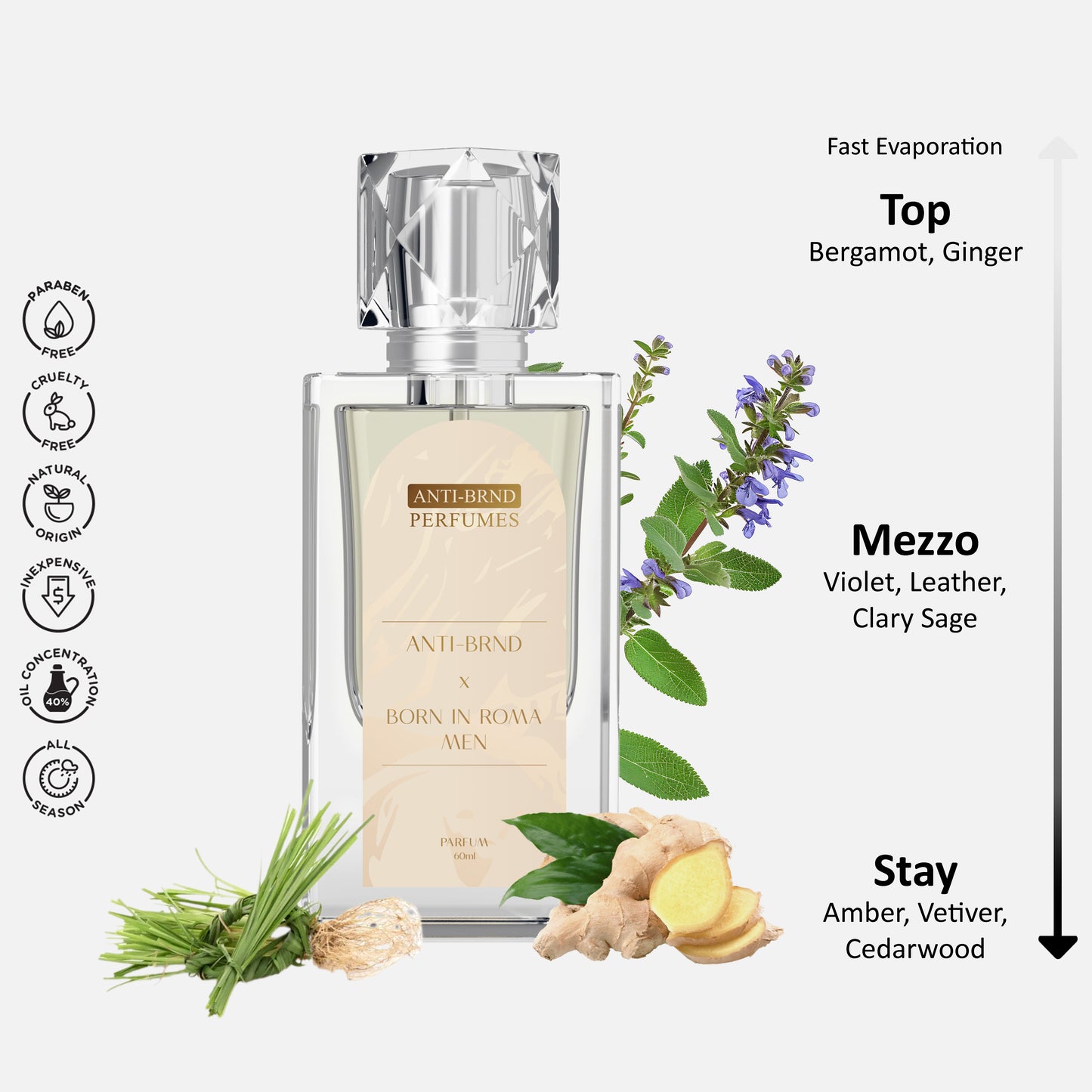 ANTI-BRND X Born In Roma Men