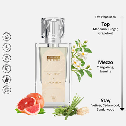 ANTI-BRND X Imagination