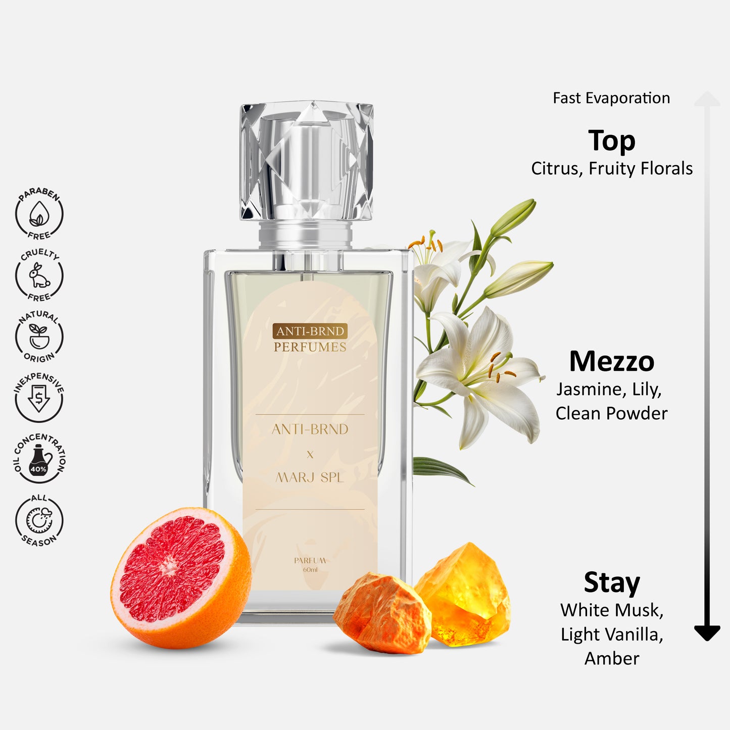 ANTI-BRND X Marj Spl