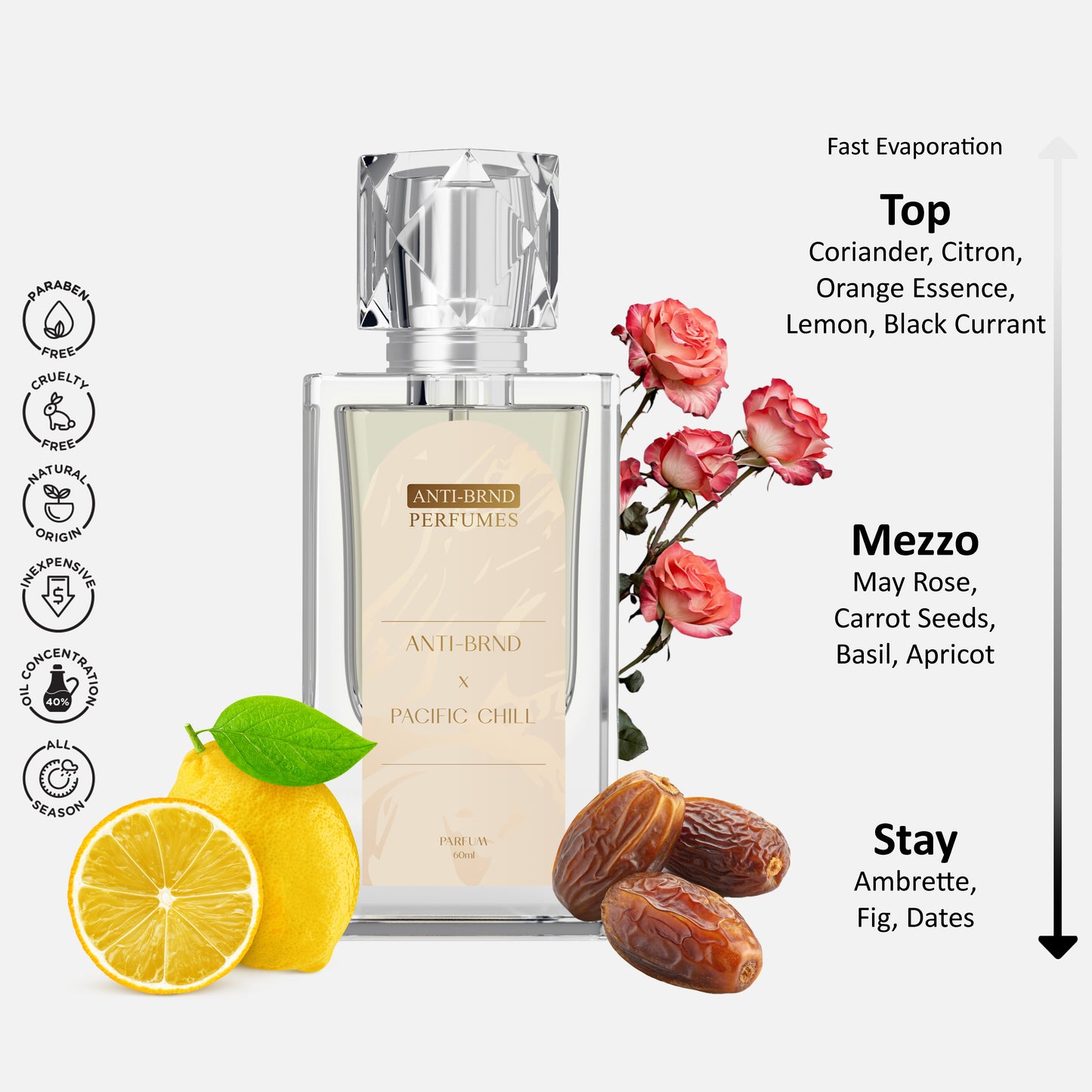 ANTI-BRND X Pacific Chill