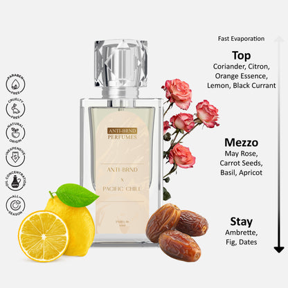 ANTI-BRND X Pacific Chill